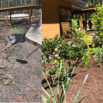 Macron Landscaping
